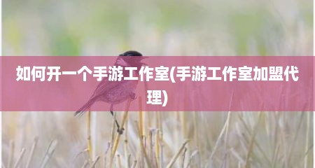 如何开一个手游工作室(手游工作室加盟代理)