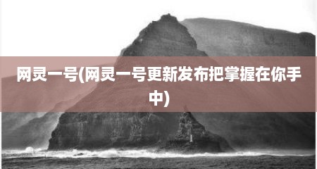 网灵一号(网灵一号更新发布把掌握在你手中)