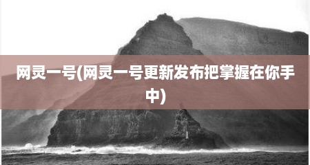 网灵一号(网灵一号十分新发布把掌握在尔手中)