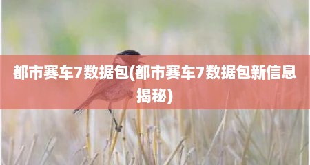 都市赛车7数据包(都市赛车7数据包新信息揭秘)