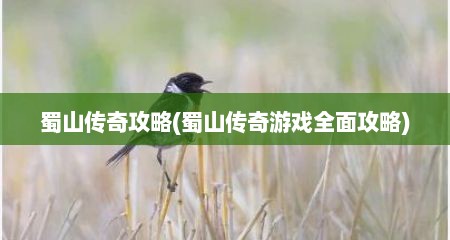 蜀山传奇攻略(蜀山传奇游戏全面攻略)