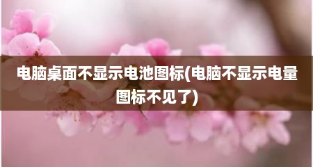 电脑桌面不显示电池图标(电脑不显示电量图标不见了)