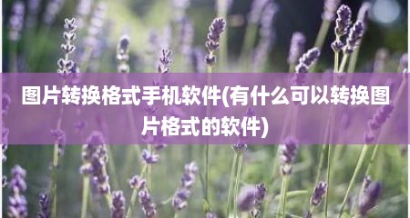 图片转换格式手机软件(有什么可以转换图片格式的软件)