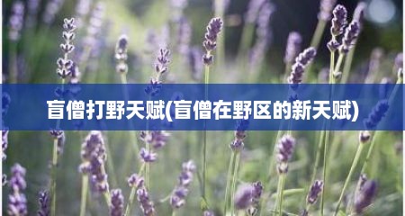 盲僧打野天赋(盲僧在野区的新天赋)