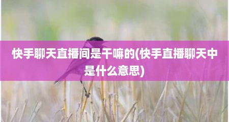 快手聊天直播间是干嘛的(快手直播聊天中是什么意思)