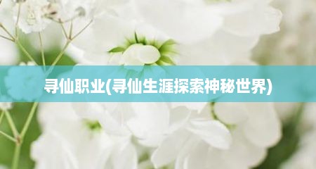 寻仙职业(寻仙生涯探索神秘世界)