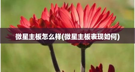 微星主板怎么样(微星主板表现如何)