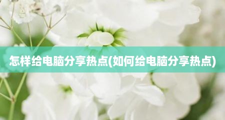 怎样给电脑分享热点(如何给电脑分享热点)