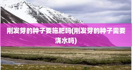 刚发芽的种子要施肥吗(刚发芽的种子需要浇水吗)