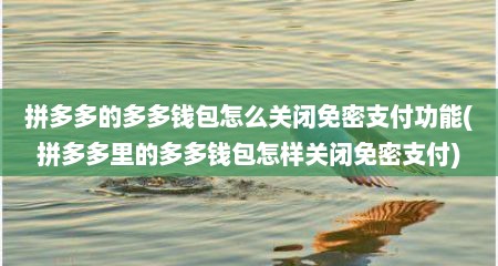 拼多多的多多钱包怎么关闭免密支付功能(拼多多里的多多钱包怎样关闭免密支付)