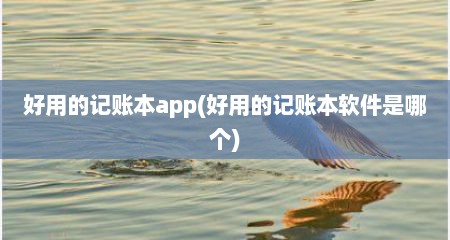 好用的记账本app(好用的记账本软件是哪个)