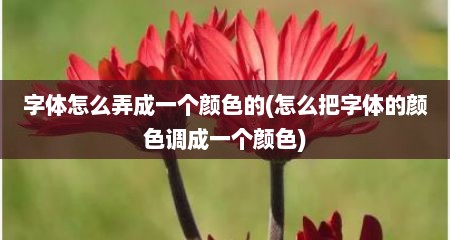 字体怎么弄成一个颜色的(怎么把字体的颜色调成一个颜色)