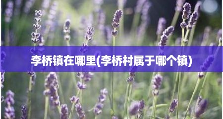 李桥镇在哪里(李桥村属于哪个镇)