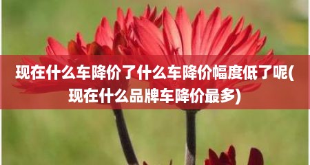现在什么车降价了什么车降价幅度低了呢(现在什么品牌车降价最多)