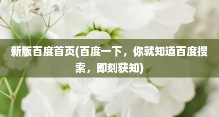 新版百度首页(百度一下，你就知道百度搜索，即刻获知)