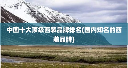 中国十大顶级西装品牌排名(国内知名的西装品牌)