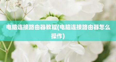 电脑连接路由器教程(电脑连接路由器怎么操作)