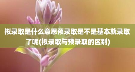 拟录取是什么意思预录取是不是基本就录取了呢(拟录取与预录取的区别)