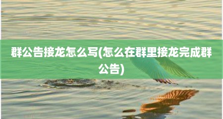 群公告接龙怎么写(怎么在群里接龙完成群公告)