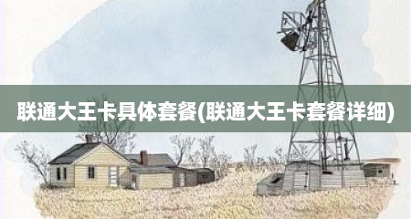 联通大王卡具体套餐(联通大王卡套餐详细)