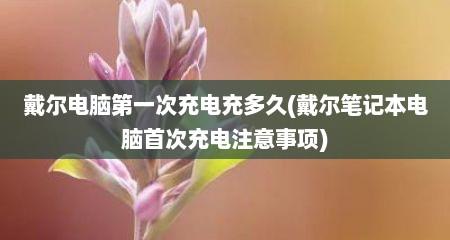 戴尔电脑第一次充电充多久(戴尔笔记本电脑首次充电注意事项)