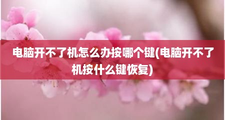 电脑开不了机怎么办按哪个键(电脑开不了机按什么键恢复)