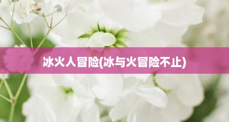 冰火人冒险(冰与火冒险不止)