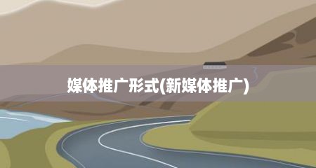 媒体推广形式(新媒体推广)