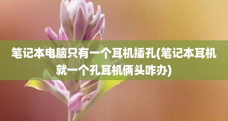 笔记本电脑只有一个耳机插孔(笔记本耳机就一个孔耳机俩头咋办)