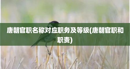 唐朝官职名称对应职务及等级(唐朝官职和职责)