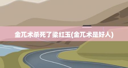 金兀术杀死了梁红玉(金兀术是好人)