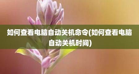 如何查看电脑自动关机命令(如何查看电脑自动关机时间)