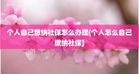 个人自己缴纳社保怎么办理(个人怎么自己缴纳社保)
