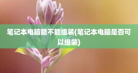 笔记本电脑能不能组装(笔记本电脑是否可以组装)