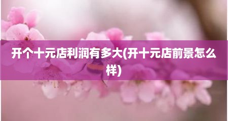开个十元店利润有多大(开十元店前景怎么样)