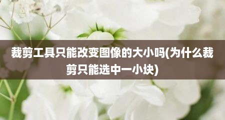 裁剪工具只能改变图像的大小吗(为什么裁剪只能选中一小块)