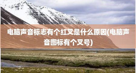 电脑声音标志有个红叉是什么原因(电脑声音图标有个叉号)