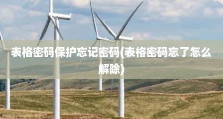 表格密码保护忘记密码(表格密码忘了怎么解除)