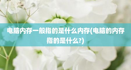 电脑内存一般指的是什么内存(电脑的内存指的是什么?)