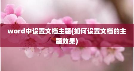 word中设置文档主题(如何设置文档的主题效果)