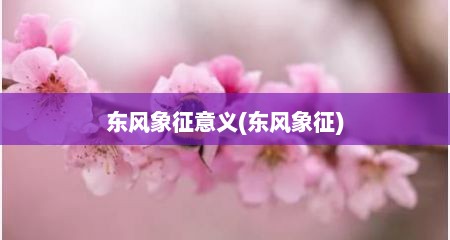 东风象征意义(东风象征)