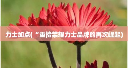 力士加点(“重拾荣耀力士品牌的再次崛起)