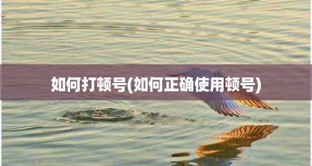 如何打顿号(如何正确使用顿号)