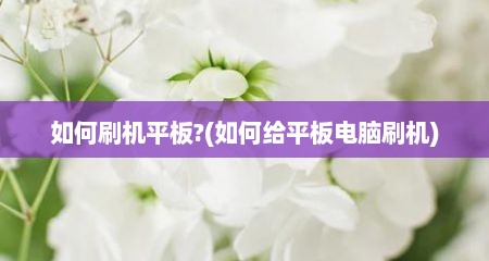 如何刷机平板?(如何给平板电脑刷机)
