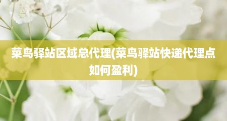 菜鸟驿站区域总代理(菜鸟驿站快递代理点如何盈利)