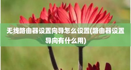无线路由器设置向导怎么设置(路由器设置导向有什么用)