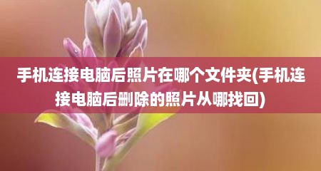 手机连接电脑后照片在哪个文件夹(手机连接电脑后删除的照片从哪找回)