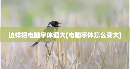 这样把电脑字体调大(电脑字体怎么变大)