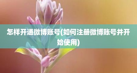 怎样开通微博账号(如何注册微博账号并开始使用)