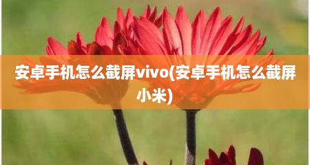 安卓手机怎么截屏vivo(安卓手机怎么截屏小米)